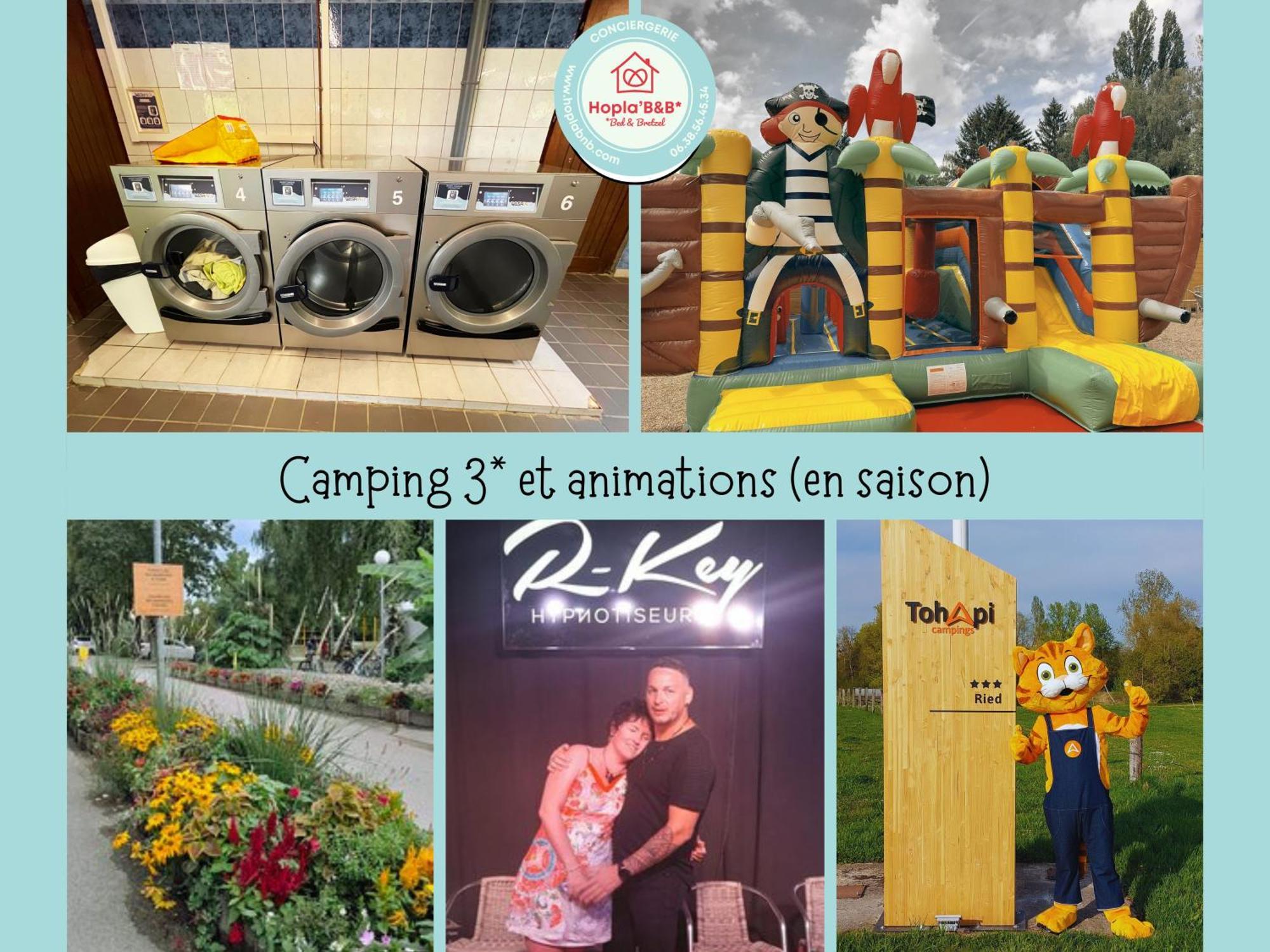 Chez Philippe Et Sylvie - 2 Bungalows Pour 5 Proche Europa-Park Boofzheim Εξωτερικό φωτογραφία